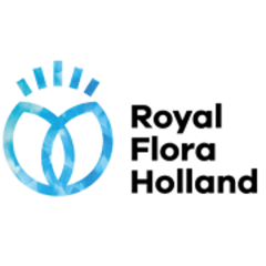 Royal FloraHolland